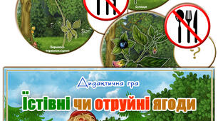 Дидактична гра "Їстівні чи отруйні ягоди"
