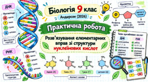 Практична робота «Розв’язування елементарних вправ зі структури нуклеїнових кислот»