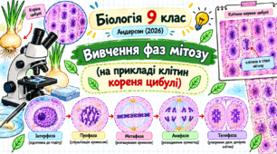 Лабораторне дослідження «Вивчення фаз мітозу (на прикладі клітин кореня цибулі)»