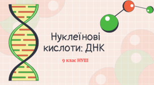 Нуклеїнові кислоти: ДНК 9 клас НУШ