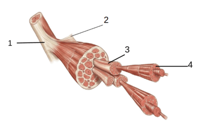 1100bv1k-705e-388x245.png