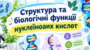 Структура та біологічні функції нуклеїнових кислот. 9 кл НУШ