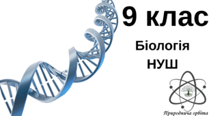 Нуклеїнові кислоти: ДНК 