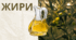 Жири