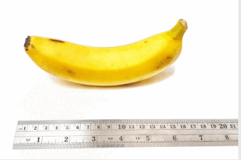 1100bzou-f849-349x232.png