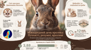 26 вересня - Міжнародний день кролика