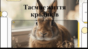 Відеоогляд "26 вересня - Міжнародний день кролика"