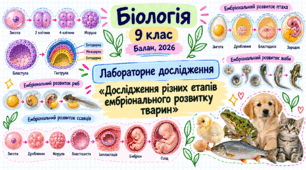 Лабораторне дослідження «Дослідження різних етапів ембріонального розвитку тварин»