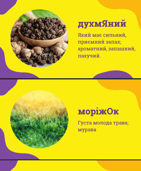1100c2fb-9a01-475x577.png