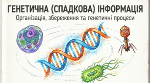 Презентація та розробка уроку на тему "ГЕНЕТИЧНА (СПАДКОВА) ІНФОРМАЦІЯ. Організація та збереження генетичної інформації. " 9 клас (НУШ). Соболь В.І.)"