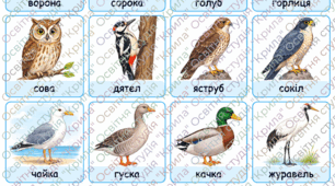 Картки для читання