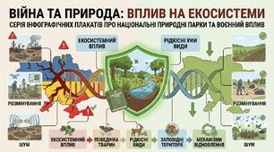 Війна і біорізноманіття вплив воєнних дій на живу природу