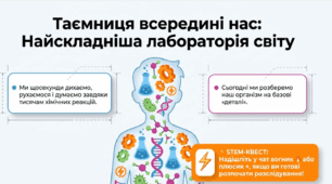 STEM-презентація до уроку: «Хімічний склад живих організмів. Хімія людського організму» (7 клас)+ конспект