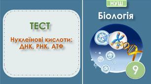 Тест "Нуклеїнові кислоти: ДНК, РНК. АТФ". Біологія 9 клас НУШ.