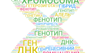 Хмара слів "Основи генетики": кейс практичних прийомів на уроках біології (9 клас)