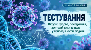 Віруси: будова, життєвий цикл, походження та роль у природі