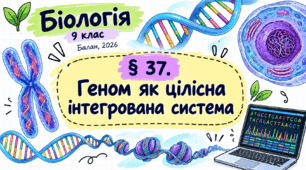 Геном як цілісна інтегрована система. Презентація, інфографіка, робочий аркуш