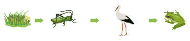 1100c9y3-c448-616x133.png