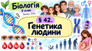 Генетика людини. Презентація, інфографіка, робочий аркуш
