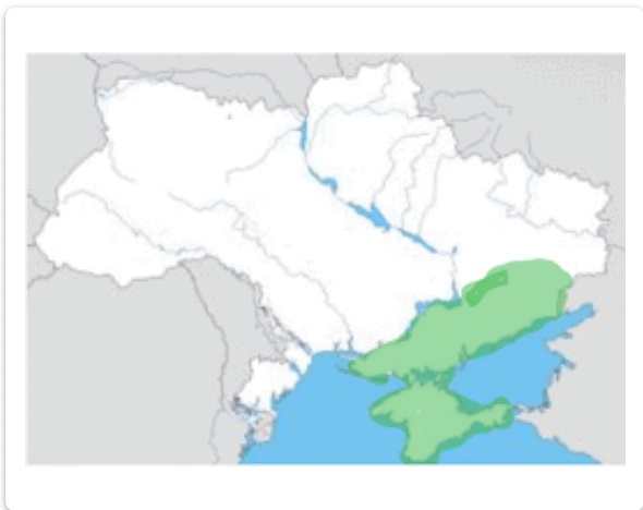 1100cemm-6c7a-590x468.png