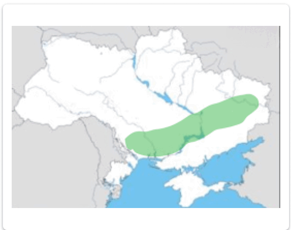 1100cen0-4760-597x471.png