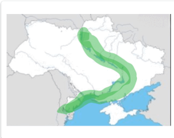 1100cen5-26ee-583x463.png