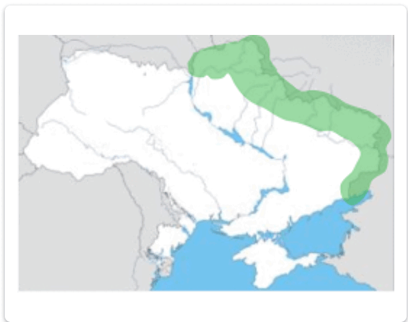 1100cene-6871-596x470.png