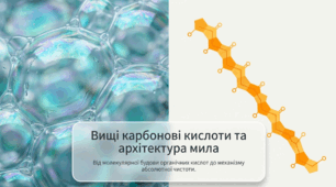 Вищі карбонові кислоти. Мило.