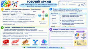 Робочий аркуш. Амінокислоти та білки. Рівні структурної організації білків; функції білків та різноманітність амінокислот.