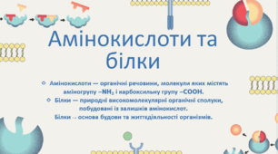 Амінокислоти та білки
