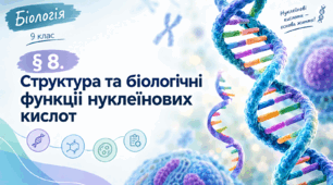 § 8. Структура та біологічні функції нуклеїнових кислот