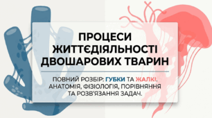 Процеси життєдіяльності двошарових тварин