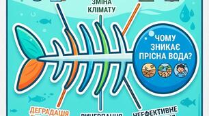 Постер за методом «Фішбоун» на тему «Чому зникає прісна вода?»:
