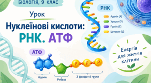 Нуклеїнові кислоти: РНК. АТФ