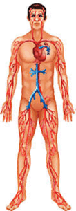 1100ct74-1e19-156x432.png
