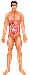 1100ct7d-2a53-161x417.png
