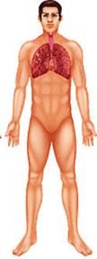 1100ct8p-64f5-172x457.png