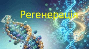 Природничі науки. 11 клас. Презентація до уроку: Регенерація.