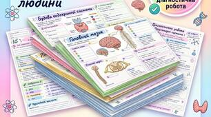 Регуляторні системи організму людини (біологія 8 клас НУШ)