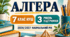 Адаптоване КТП з алгебри. 7 клас НУШ. Істер. 3 рівень підтримки. 2026/2027 навчальний рік