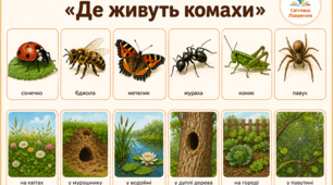 Дидактична гра «Де живуть комахи?»