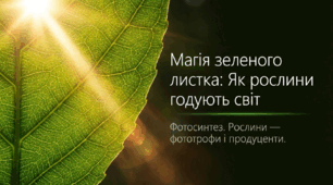 Презентація "Фотосинтез. Рослини продуценти і фототрофи"