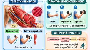 БЕЗКОШТОВНИЙ КОМПЛЕКТ ДО УРОКУ БІОЛОГІЇ (8 КЛАС) Тема: Розвиток втоми м’язів за статичного та динамічного навантаження. Гіподинамія