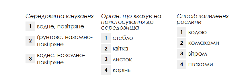 1100d5fo-c3a8-865x272.png