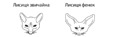 1100d5nw-ae56-395x129.png