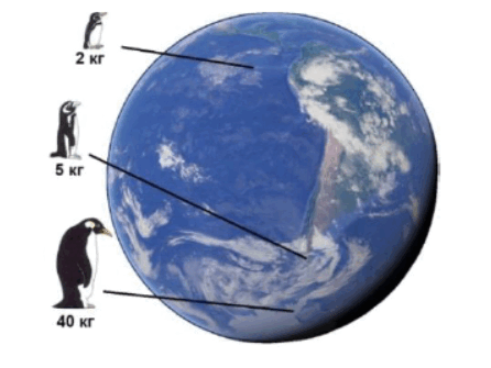 1100d5r5-730b-446x335.png