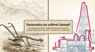 Практикум до уроку: «Господарський розвиток українських земель у складі Австрійської імперії» (9 клас. Історія України)
