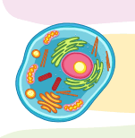 1100dar9-fb02-220x224.png
