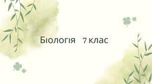 Контрольна робота з теми "Покритонасінні", біологія 7 клас