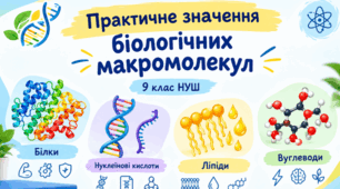 Презентація до уроку. Практичне значення біологічних макромолекул. 9 кл НУШ